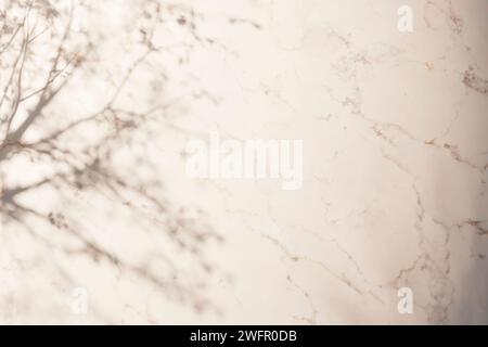 Sole, ombre degli alberi, sfondi di varie texture. Foto Stock