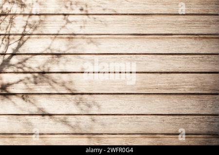 Sole, ombre degli alberi, sfondi di varie texture. Foto Stock