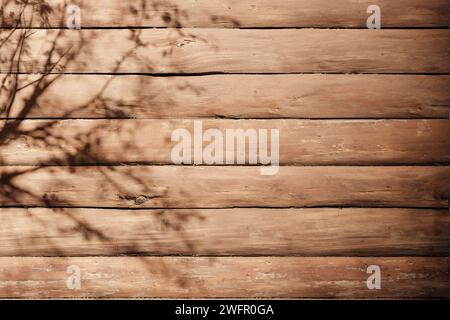 Sole, ombre degli alberi, sfondi di varie texture. Foto Stock