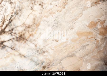 Sole, ombre degli alberi, sfondi di varie texture. Foto Stock