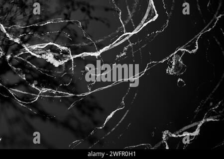 Sole, ombre degli alberi, sfondi di varie texture. Foto Stock