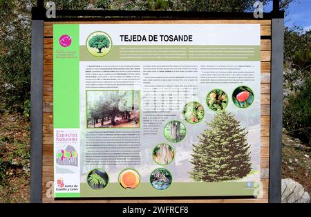 Parco naturale Tejeda de Tosande, poster. Montaña Palentina, provincia di Palencia, Castilla y Leon, Spagna. Foto Stock