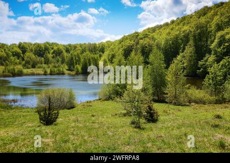 paesaggio dei carpazi con lago tra boschi. alberi che si riflettono sulla superficie dell'acqua ondulata. clima soleggiato in primavera Foto Stock