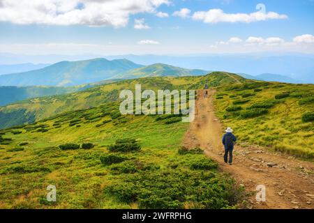 sentiero attraverso il paesaggio ondulato con colline e prati dei carpazi. scenario alpino degli altopiani ucraini. destinazione di viaggio popolare Foto Stock