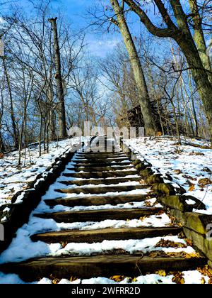 I gradini ricoperti di neve conducono ad una tranquilla area boschiva Foto Stock