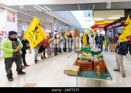 © PHOTOPQR/LE DAUPHINE/Grégory YETCHMENIZA ; Annecy ; 01/02/2024 ; Annecy, le 1 février. Une trentaine de membres de la conféderation paysanne de Haute-Savoie, accompagnée d'une dizaine de membres de la CGT, mènent depuis 9h45 ce matin une opération dans le carrefour d'Annecy situé avenue de Genève. Dans le supermarché, ils ciblent trois produits : les 'contrefactions' de reblochon, les tomates hors saison, et le mille non francais vendu sous l'appellation miel francais. Avec cette action, ils revendiquent des revenus décents, notamment via l'interdiction d'achat en dessous des prix de revient Foto Stock