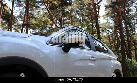 Vista dal basso dalla ruota anteriore di un'auto in piedi tra gli alberi nella foresta Foto Stock