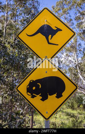 Cartello stradale Kangaroo and Wombat, Australia Foto Stock