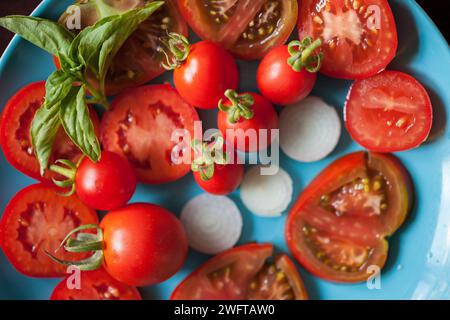 Colorato mix di pomodori ciliegini appena raccolti con basilico sul piatto blu Foto Stock