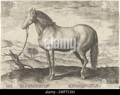 Paard dalla Turchia, Hendrick Goltzius (attribuito a), dopo Jan van der Straet, c. 1578 - c. 1582 stampare Un cavallo turco, in profilo. La stampa ha una didascalia latina e fa parte della seconda parte di una serie di 39 parti sulle razze di cavalli provenienti dalle scuderie reali di Don Juan d'Austria. Tipografia: Antwerpafter disegno di: Florencepublisher: Antwerp cartaceo cavallo per incisione Turchia Foto Stock