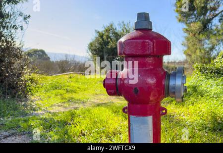 Impianto pubblico antincendio. Raccordo per tubo idrante di colore rosso verniciato all'aperto in un prato, giornata di sole in Grecia. Sicurezza in caso di estinzione. Foto Stock
