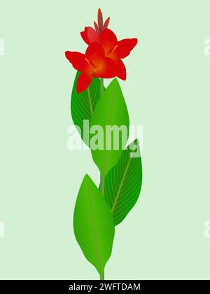 canne rosse con foglie su sfondo verde. Illustrazione Vettoriale