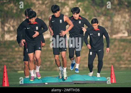 Doha, Qatar. 1 febbraio 2024. AFC Asian Cup Qatar 2023, sessione ufficiale di allenamento - Korea Rebpublic, Doha, Qatar ad al Egla 7. Crediti: Meng Gao/Alamy Live News Foto Stock