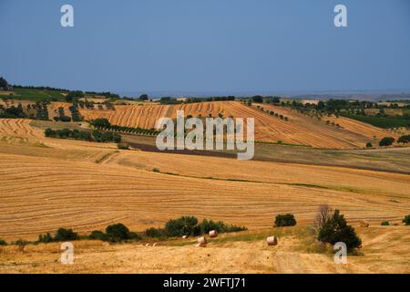 Paesaggio di campagna vicino a Forenza e venosa, in provincia di potenza, Basilicata, Italia Foto Stock