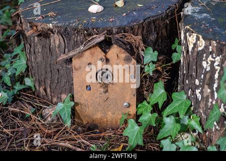 Una porta da favola su un albero al Stoke Poges Memorial Gardens a Stoke Poges, Buckinghamshire Foto Stock