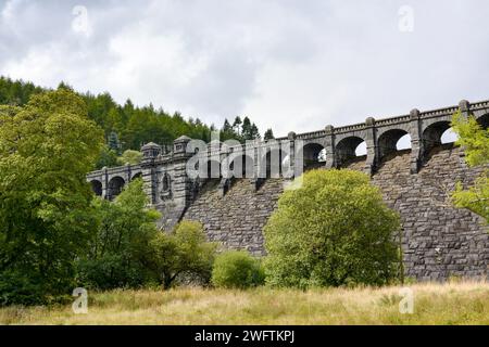 Lago Vyrnwy Reservoir, Powys, Galles Foto Stock