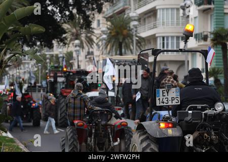 © Francois Glories/MAXPPP - 01/02/2024 rabbia tra gli agricoltori del sud della Francia, i trattori invadono il Prom di Nizza con "Chouki", la mascotte della mucca che è diventata una stella di fronte all'Hotel Negresco sulla Promenade des Anglais. Dimostrazione degli agricoltori sulla Promenade des Anglais di Nizza come parte del movimento nazionale degli agricoltori in Francia e in diversi paesi europei. Credito: MAXPPP/Alamy Live News Foto Stock