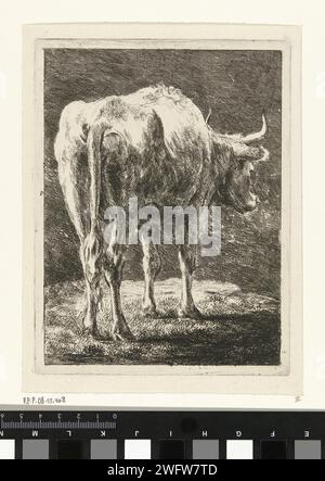 Mucca in un paesaggio, Jabes Heenck, c. 1767 - 1781 stampa Northern Netherlands paper etching muw Foto Stock