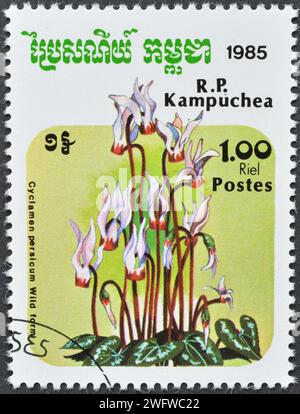 Francobollo cancellato stampato dalla Cambogia, che mostra Cyclamen persicum, circa 1985. Foto Stock