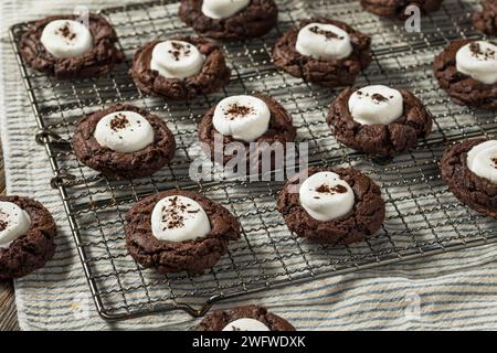 Biscotti al cacao caldi al cioccolato fondente fatti in casa con marshmallow Foto Stock