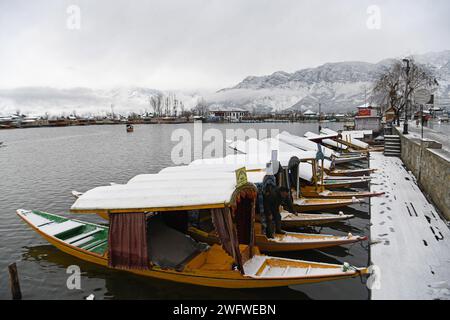 Le nevicate fresche nei tratti più alti della valle del Kashmir hanno infranto uno dei più lunghi periodi di asciutto di circa due mesi di questa stagione. Una fresca nevicata ha attirato la gente del posto e i turisti. L'economia dello stato è fortemente dipendente dall'industria turistica e la nevicata dopo una lunga attesa attira i turisti nella scintillante valle d'argento. Kashmir, India. Foto Stock