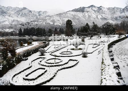 Le nevicate fresche nei tratti più alti della valle del Kashmir hanno infranto uno dei più lunghi periodi di asciutto di circa due mesi di questa stagione. Una fresca nevicata ha attirato la gente del posto e i turisti. L'economia dello stato è fortemente dipendente dall'industria turistica e la nevicata dopo una lunga attesa attira i turisti nella scintillante valle d'argento. Kashmir, India. Foto Stock