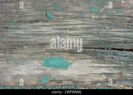 Un vecchio grande pannello di legno appassito con vernice verde sbucciante, un pannello spesso ricoperto di funghi e corrosione con una struttura e una consistenza interessanti Foto Stock