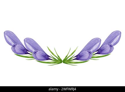 Acquerello viola crocezza la corona semicircolare, composizione di fiori primaverili, cornice rotonda, illustrazione floreale. Elemento di design per etichetta, logo, confezione Foto Stock