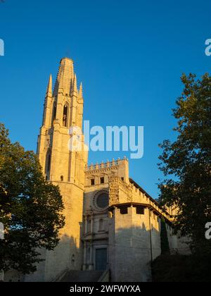 Chiesa Collegiata di Sant Feliu alla luce del tramonto, Girona Foto Stock