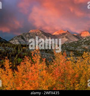 Sunrise, Clearing Storm, Aspen, John Muir Wilderness, Inyo National Forest, Sierra orientale, California Foto Stock