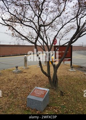 Un albero piantato in memoria del Chief Warrant Officer 2 Benjamin K. Humphreys - piantato dalla sua vedova, Betty, nel 2007 - si trova alla base di Beacon Hill al Memorial Park a Camp Humphreys. L'installazione prende il nome da Humphreys nel 1962 dopo la sua morte avvenuta l'anno precedente in un incidente in elicottero nei pressi di Osan, Repubblica di Corea. Poiché la U.S. Army Garrison Humphreys Directorate of Public Works è attualmente alla ricerca di nomination per pezzi centrali per quattro rotatorie vuote, si dovrebbe prendere in considerazione l'acquisizione di un CH-21 Shawnee - come quello volato da Humphreys - e renderlo il fulcro. Foto Stock