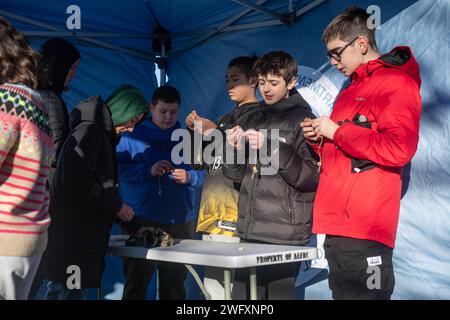 Gli studenti della Alconbury Middle High School fanno mangiatoie per uccelli alla RAF Alconbury, Inghilterra, 18 gennaio 2024. I mangiatoie sono stati utilizzati per incoraggiare gli uccelli a visitare il sito dove 400 alberelli sono stati piantati sulla RAF Alconbury da studenti della Alconbury MHS e della Alconbury Elementary School. Foto Stock