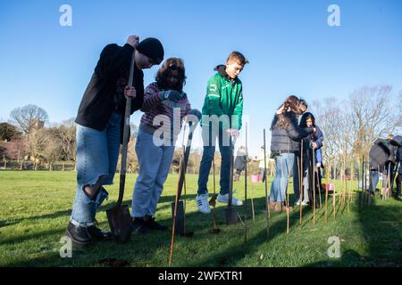 Gli studenti della Alconbury Middle High School scavano buchi per alberelli alla RAF Alconbury, Inghilterra, 18 gennaio 2024. Gli studenti, con la direzione e l'assistenza del 423d Civil Engineer Squadron Natural Resources team, hanno piantato 400 alberelli sulla RAF Alconbury. L'evento è stato guidato dal Woodland Trust, la più grande organizzazione benefica per la conservazione delle foreste nel Regno Unito e si occupa della creazione, della protezione e del restauro del patrimonio boschivo autoctono. Foto Stock