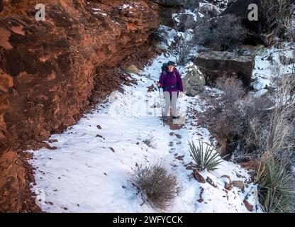 L'escursionista si ferma lungo il Snowy Boucher Trail nel Grand Canyon Foto Stock