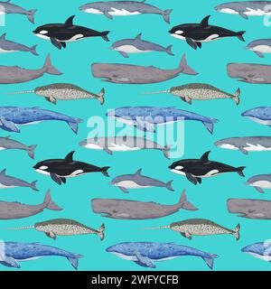 Modello senza cuciture con varie balene. Stampa dettagliata disegnata a mano. Illustrazione vettoriale per la progettazione. Illustrazione Vettoriale
