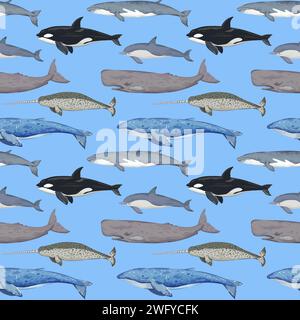 Modello senza cuciture con varie balene. Stampa dettagliata disegnata a mano. Illustrazione vettoriale per la progettazione. Illustrazione Vettoriale