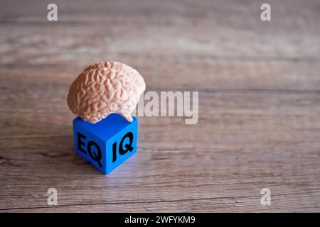 Cervello umano e cubo di legno con parole IQ ed EQ. Spazio di copia per il testo. Foto Stock