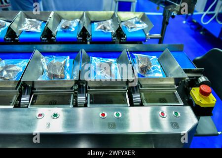 Linea di produzione automatica di alimenti a base di carne di pesce essiccato su macchinari per nastri trasportatori in fabbrica Foto Stock