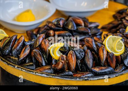 Cozze crude fresche con limone su un piatto che aspetta di essere ripieno per il tradizionale midye dolma in un ristorante, la penisola storica, Istanbul, Turchia Foto Stock