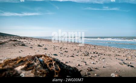 Una costa sabbiosa, accanto alle dolci onde dell'oceano Foto Stock