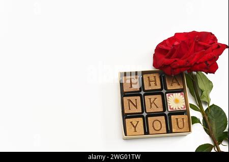 La ringrazio è scritta sui blocchi di cioccolato. Rosa su sfondo bianco con cioccolatini Foto Stock