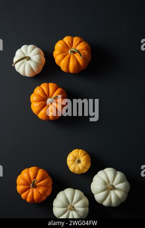 Composizione piatta Halloween con zucche su sfondo nero. Spazio vuoto per la pubblicità dei prodotti Foto Stock