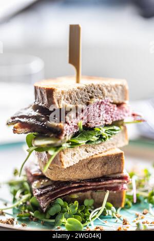 Sandwich New York con pastrami, salsa ed erbe. Concetto di fast food. Foto Stock