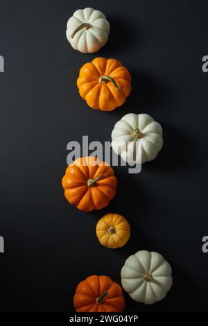 Uno sfondo scuro con zucche arancioni e bianche in una disposizione piatta per Halloween. Vista dall'alto Foto Stock