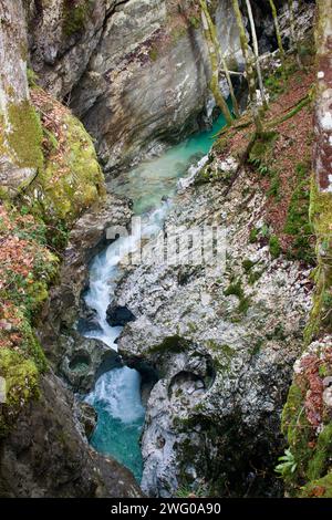 Le forme intriganti scavate dal fiume Mostnice mentre scorre verso il villaggio di Stara Fuzina, vicino al lago Bohinj, in Slovenia Foto Stock