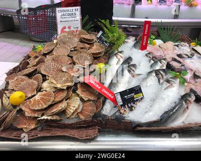 FRANCIA, BORDEAUX, 2 febbraio 2024: Assortimento giornaliero di gamberoni, conchiglie, molluschi sul ghiaccio al mercato del pesce al supermercato Foto Stock