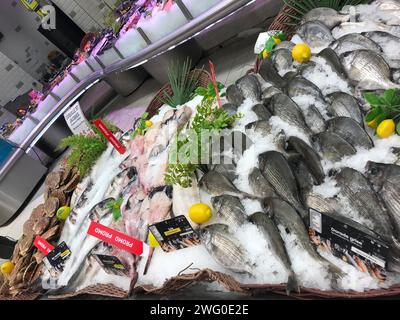 FRANCIA, BORDEAUX, 2 febbraio 2024: Assortimento giornaliero di gamberoni, conchiglie, molluschi sul ghiaccio al mercato del pesce al supermercato Foto Stock