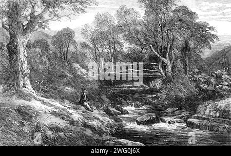 "The Fisherman's Haunt", di G. Chester, nell'esposizione della Royal Academy, 1862. Incisione di un dipinto. 'Questa immagine non è solo la migliore che abbiamo visto dall'artista, ma ha un duplice interesse - per l'ingegno, sia piscatoriale che pittorico... il pittore, con il suo stesso titolo, sembra rivolgersi in particolare ai gentili discepoli del "buon vecchio" Izaak Walton. Inoltre, attira la nostra attenzione con una citazione di Tennyson su questo come un "posto probabile" per "qui e là una trota lussuosa, e qui e là un grigiolo". Tuttavia, è molto scortese e pubbliche relazioni Foto Stock