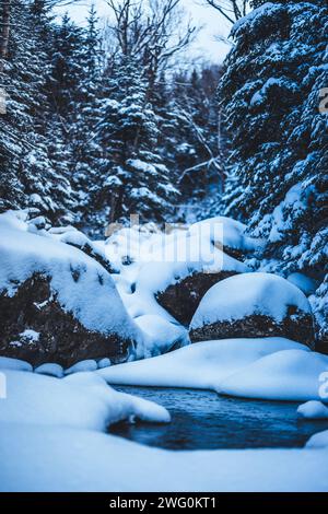 Il torrente di montagna scorre attraverso boschi innevati, New Hampshire Foto Stock