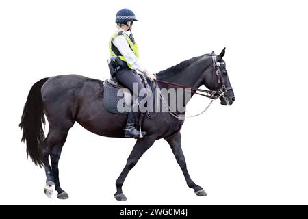 Non identificata agente della polizia metropolitana di Londra che cavalca un cavallo nero è in servizio, isolata su sfondo bianco con spazio per il testo Foto Stock